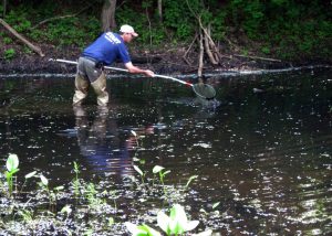 water cleanup restoration